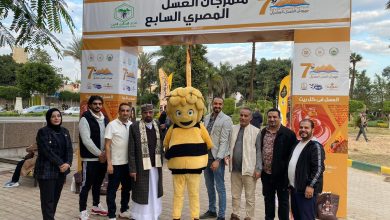 ce942400 fe89 45f7 ba96 4f834a885e12